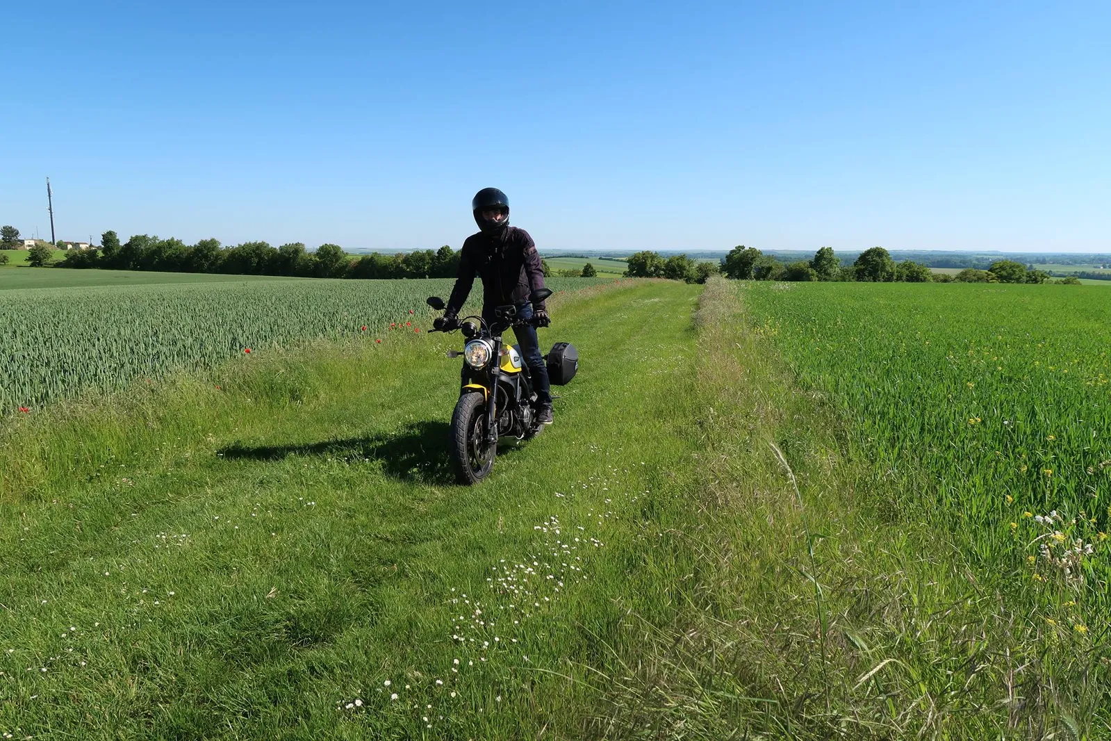 C-Bow side carrier black for Ducati Scrambler 800 (2015-2018)