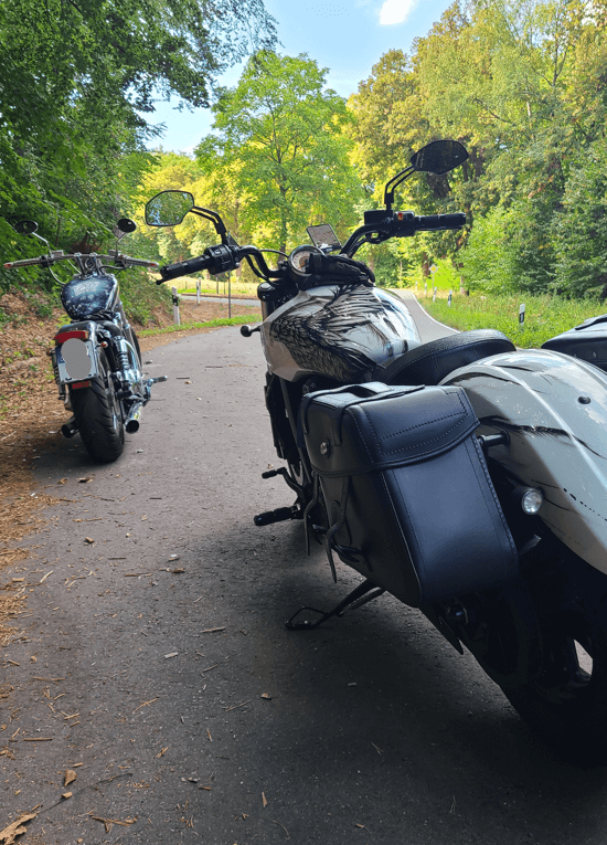 C-Bow side carrier chrome for Indian Scout/Sixty (2015-2024)