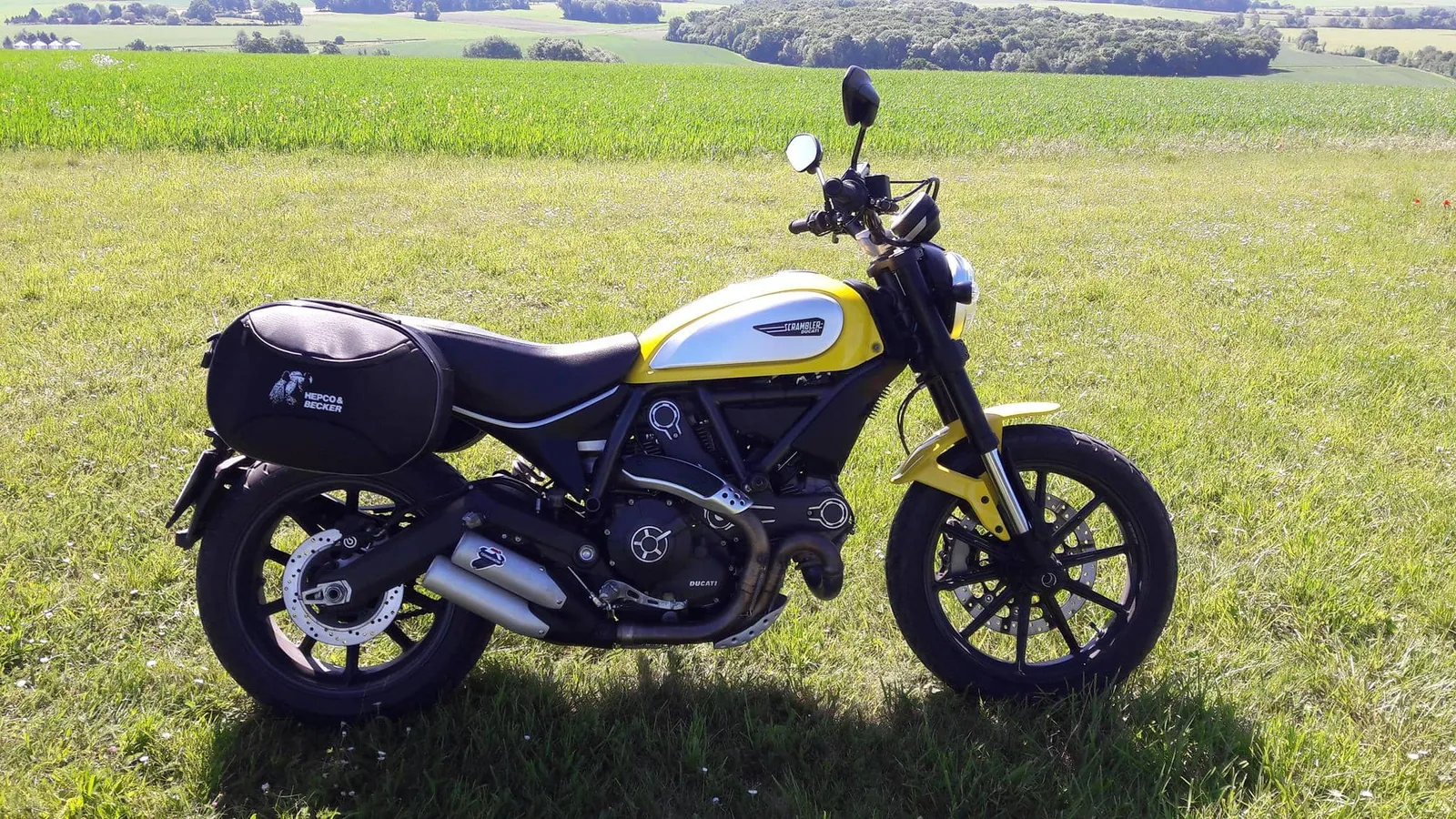 C-Bow side carrier black for Ducati Scrambler 800 (2015-2018)