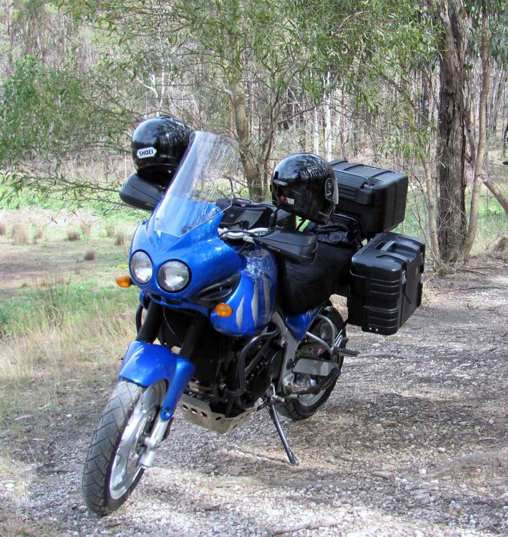 triumph tiger 955i panniers