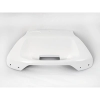 Painted panel white for Hepco&Becker Journey 42 sidecase and topcase
