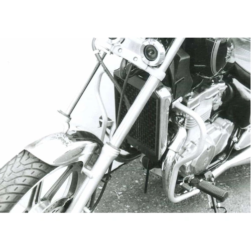Chrome engine guard for Kawasaki EN 500 (1990-1995)